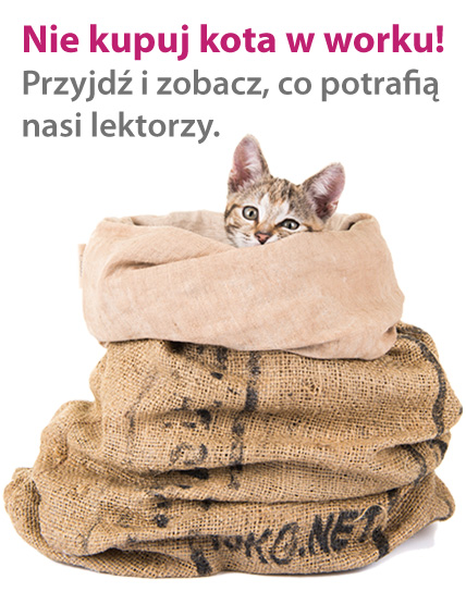 kot_w_worku